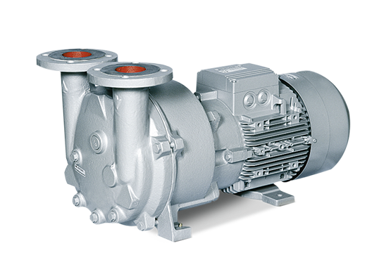 Liquid Ring Vacuum Pumps  Liquid Ring Vacuum Pumps l 2bv5
